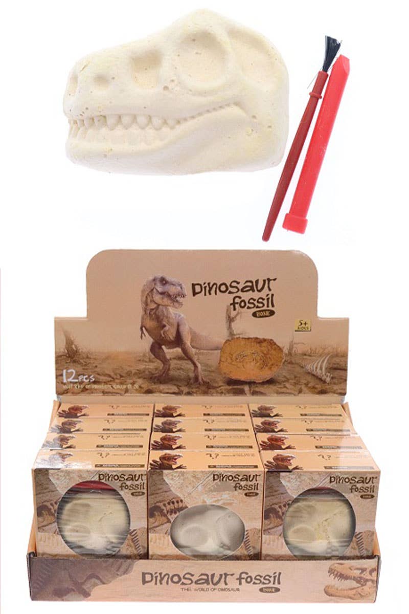 Kids Dinosaurs Fossil Excavation Tool Kit